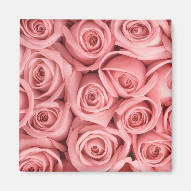 Imã Flores | Rosas rosadas (Frente)