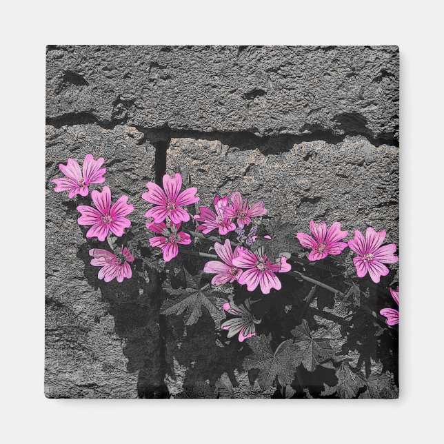 Imã Flores roxas (Frente)