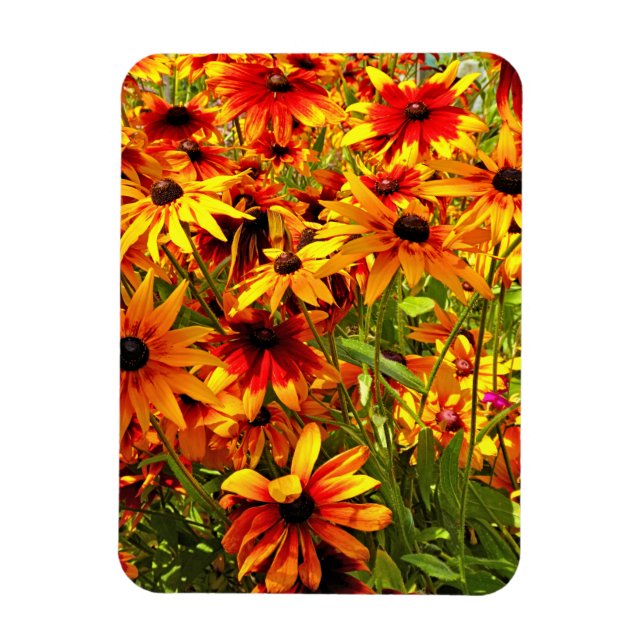 ÍMÃ FLORES RUDBECKIA (Vertical)