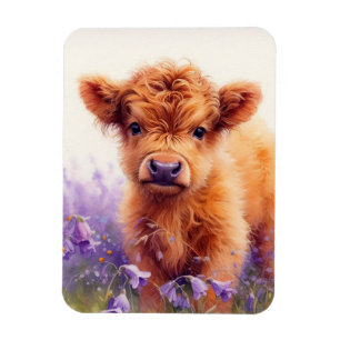 Ímã Flores Selvagens da Escócia Highland Calf Flores F