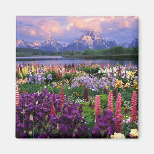 Imã Flores selvagens de montanha