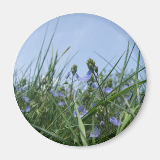 Imã Flores selvagens Magnet