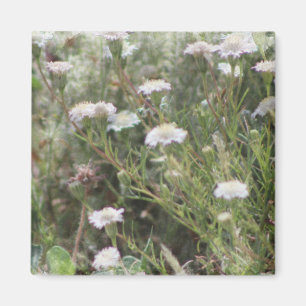 Imã Flores Silvestres Almofada Branca de Alfinetes Aqu