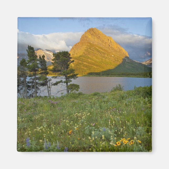 Imã Flores silvestres ao longo do Lago Swiftcurrent no (Frente)