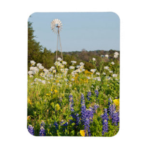 Ímã Flores Silvestres e Moinho de Vento no Texas Hill 
