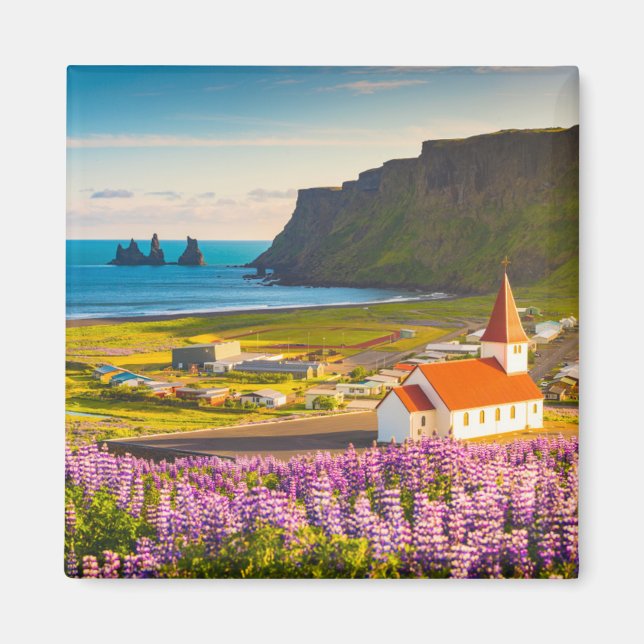 Imã Flores | Tremoços de Bloom, Sul da Islândia (Frente)