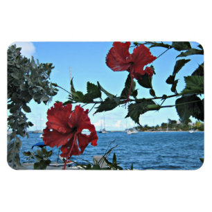 Ímã Flores tropicais da ilha