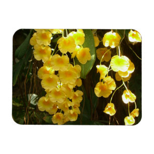 Ímã Flores Tropicais das Orquídeas Amarelas
