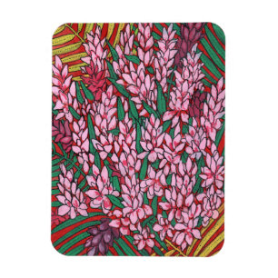 Ímã Flores Tropicais De Cone Rosa Ginger Alpinia Flora