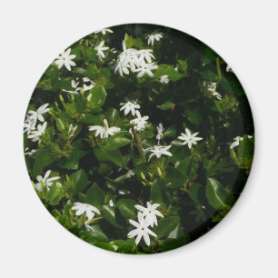 Imã Flores Tropicais De Jasmine