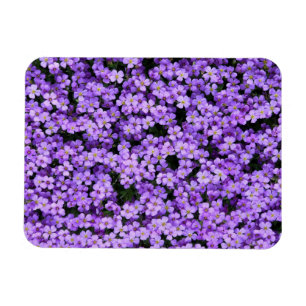 Ímã Flores Violetas