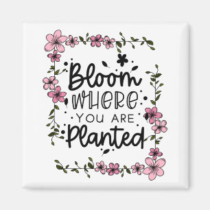 Imã florescer onde você está plantado