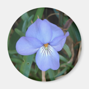 Imã FloresSilvestres Violeta Pata de Pássaro IV Presen