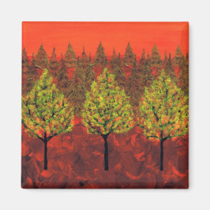 Imã Floresta