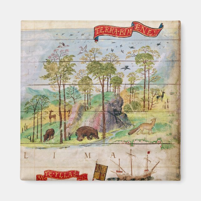 Imã Floresta Canadiana (Frente)