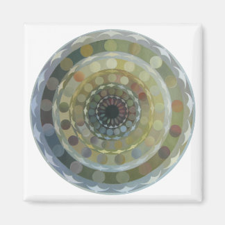 Imã Floresta com íman de aves