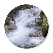 Floresta com riacho fluindo sobre rochas musgosas
