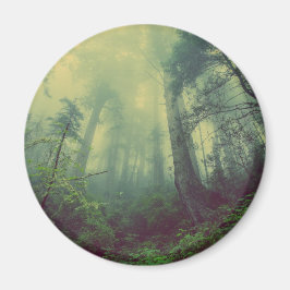 Imã Floresta De Baixo