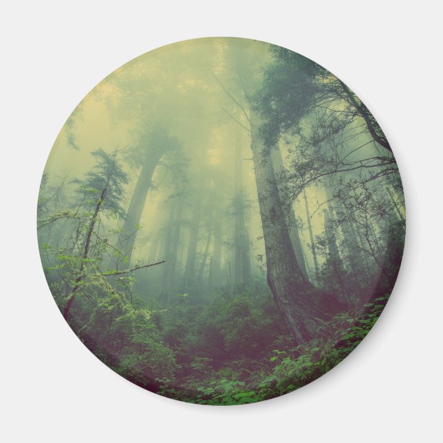 Imã Floresta De Baixo (Frente)