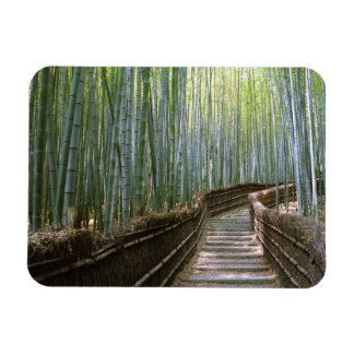 Ímã Floresta de Bambu em Quioto