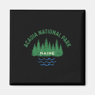 Imã Floresta de pinheiros parque nacional acadia maine