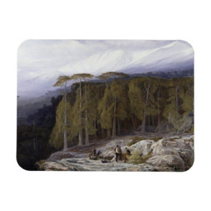 Ímã Floresta de Valdoniello, Córsega, 1869 (petróleo e