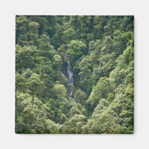 Imã Floresta do Himalaia no vale de Mangdue, Butão