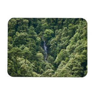 Ímã Floresta do Himalaia no vale de Mangdue, Butão