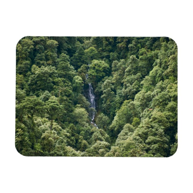 Ímã Floresta do Himalaia no vale de Mangdue, Butão (Horizontal)