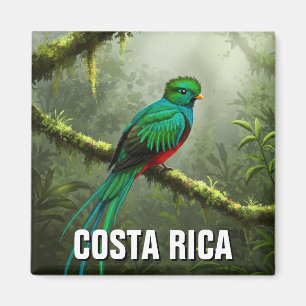 Imã Floresta em nuvem de Quetzal Monteverde