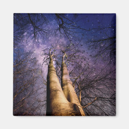 Imã Floresta Encantada