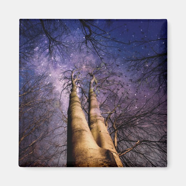 Imã Floresta Encantada (Frente)