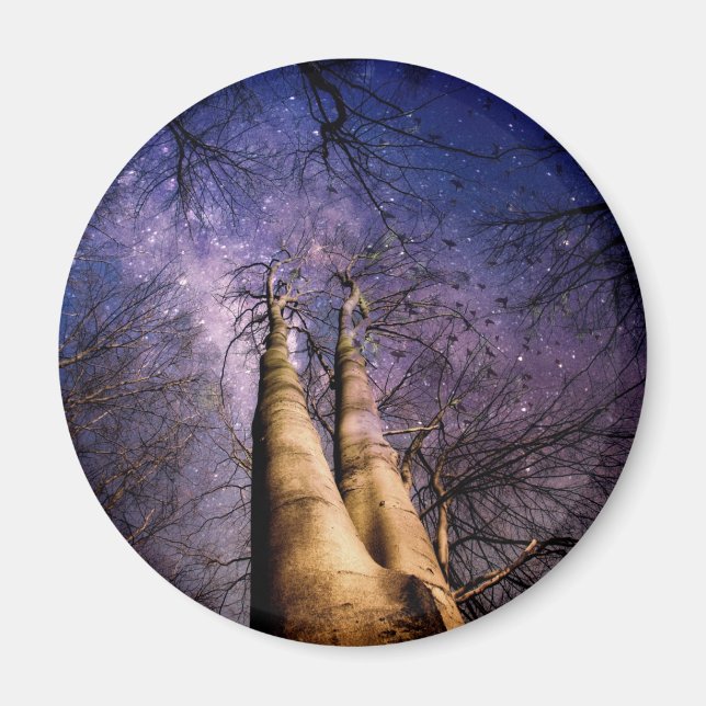 Imã Floresta Encantada (Frente)