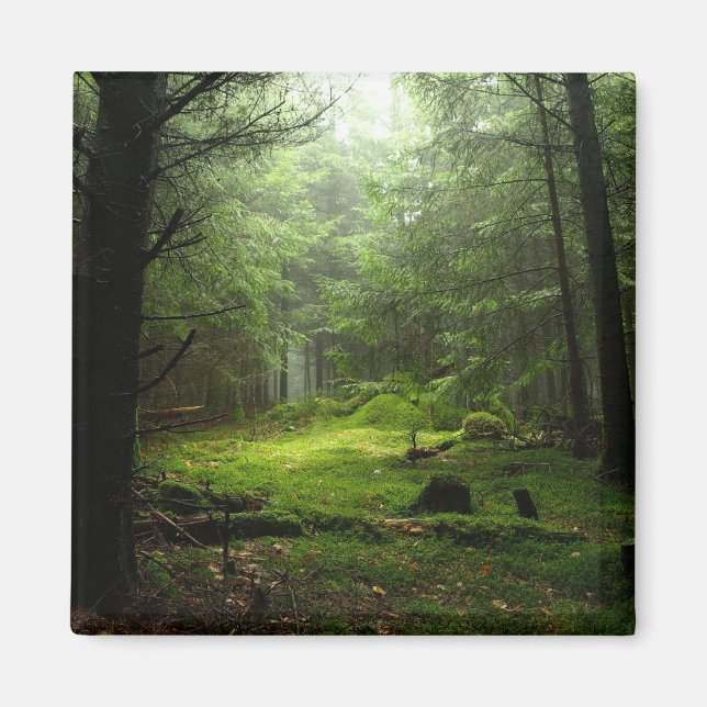 Imã Floresta Estérica (Frente)