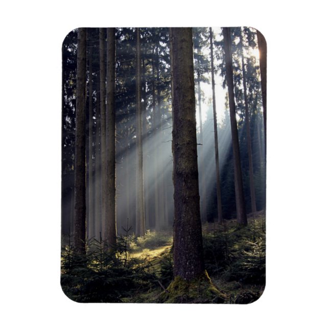 Ímã Floresta na Baviera (Vertical)