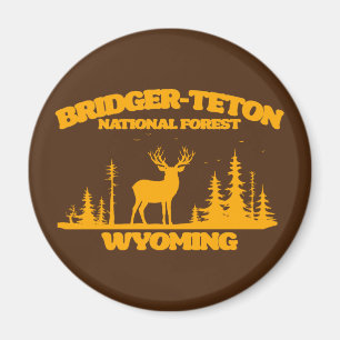 Imã Floresta Nacional Bridger-Teton