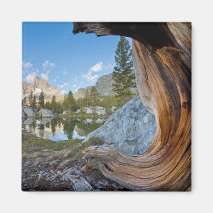 Imã Floresta Nacional de Inyo, Califórnia
