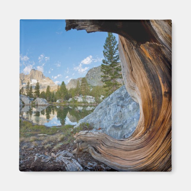 Imã Floresta Nacional de Inyo, Califórnia (Frente)