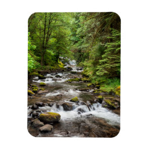 Ímã Floresta Nacional Siuslaw Sweet Creek