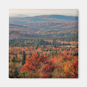 Imã Floresta Nacional White Mountains Nova Hampshire