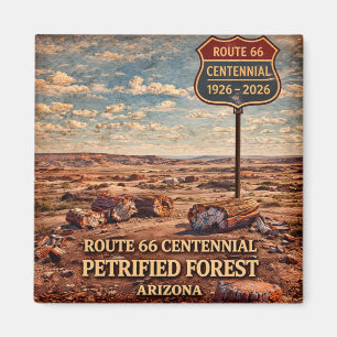Imã Floresta Petrificada do Arizona Centenário 1926-20