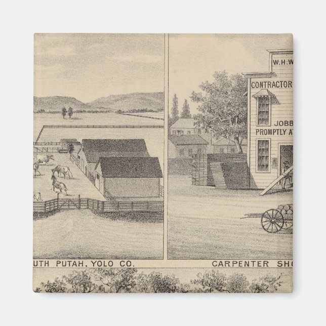 Imã Floresta Rua Principal (Frente)