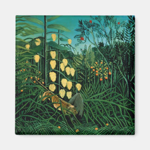 Imã Floresta Tropical