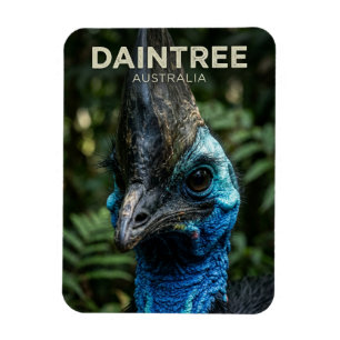 Ímã Floresta Tropical Daintree Austrália