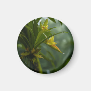 Imã Floresta Tropical de Orquídea Amarela