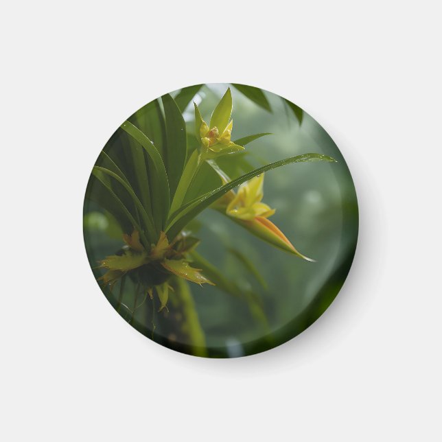 Imã Floresta Tropical de Orquídea Amarela (Frente)