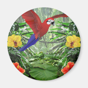 Imã Floresta tropical tropical