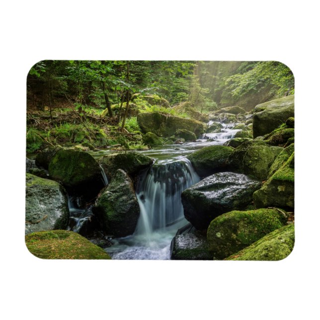 Ímã Floresta Verde e Rio (Horizontal)