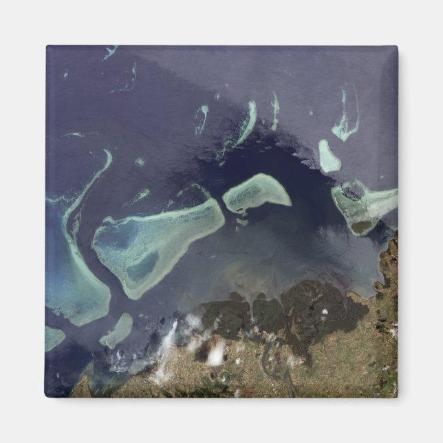 Imã Floresta verde profunda em terra (Frente)