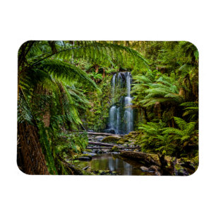 Ímã Florestas Beauchamp Falls Austrália